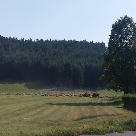Apartmán House Nada Donji Babin Potok Exteriér fotografie