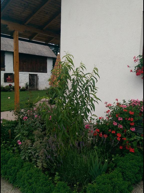 Apartmán House Nada Donji Babin Potok Exteriér fotografie