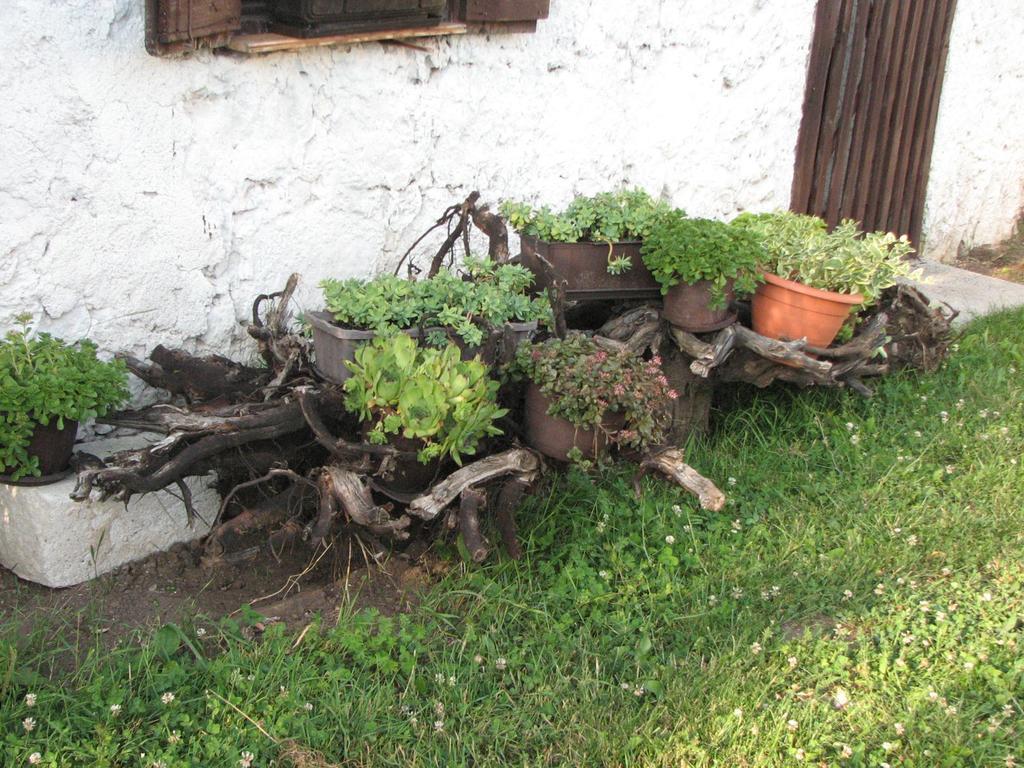 Apartmán House Nada Donji Babin Potok Exteriér fotografie