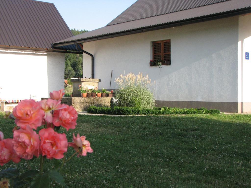 Apartmán House Nada Donji Babin Potok Exteriér fotografie
