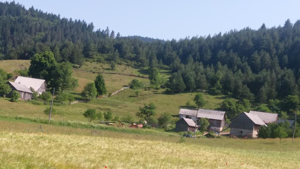 Apartmán House Nada Donji Babin Potok Exteriér fotografie