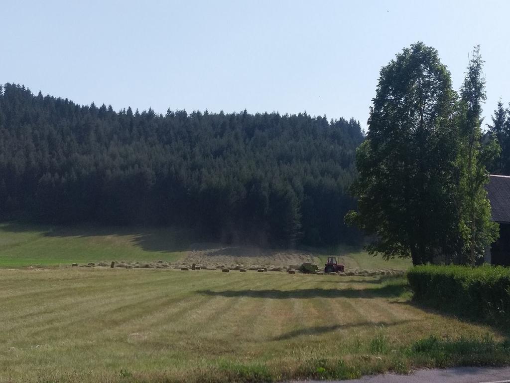 Apartmán House Nada Donji Babin Potok Exteriér fotografie